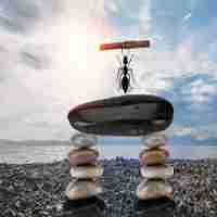 dns优‌化‍器​安‌卓‍版‍